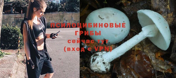 амф Абинск