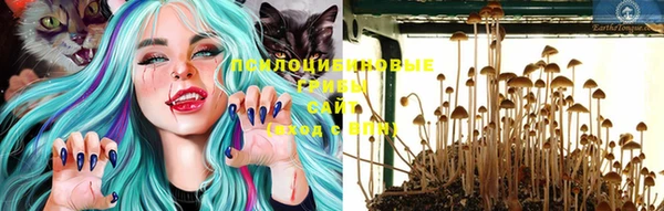 марки nbome Абаза