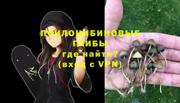 амф Абинск
