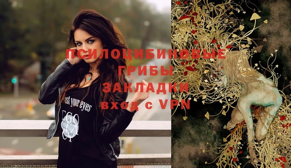 гашик Покачи