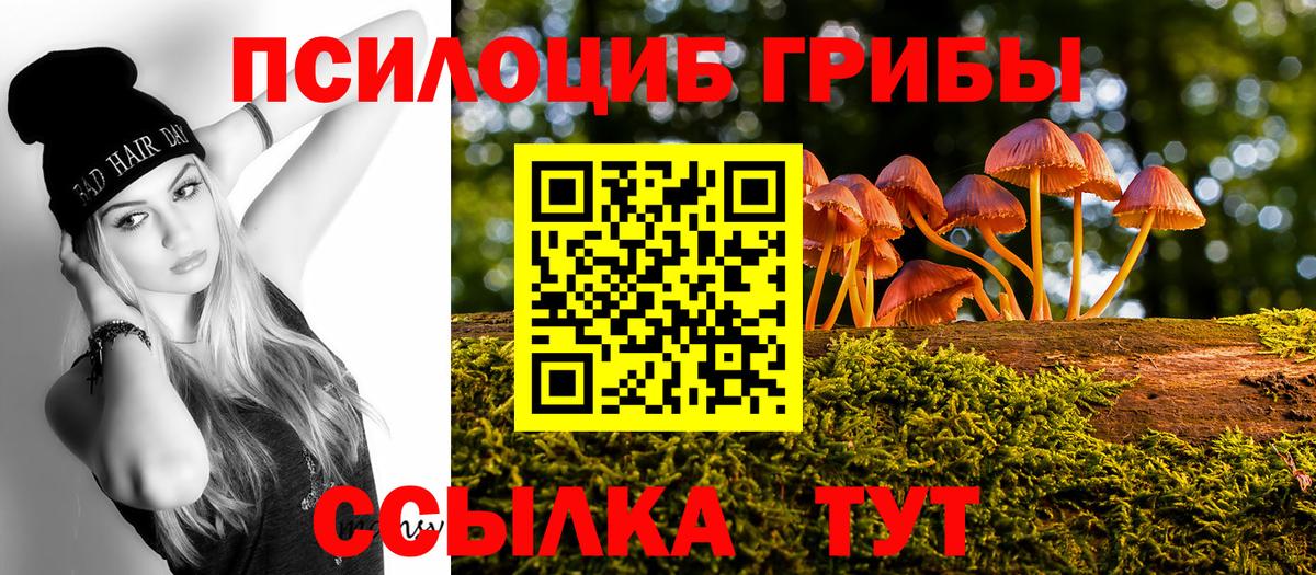 Галлюциногенные грибы Magic Shrooms  Вход с VPN  Богданович 