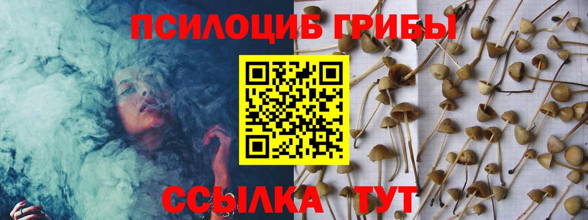 Псилоцибиновые грибы GOLDEN TEACHER Богданович